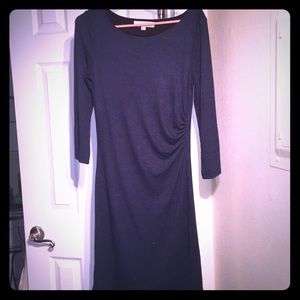 Loft small knit dress